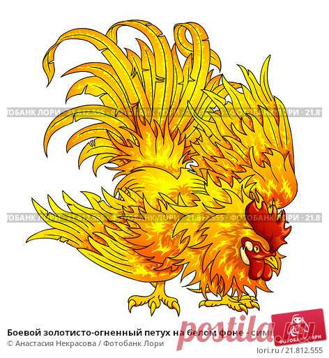 картинки 2017 г петуха: 9 тыс изображений найдено в Яндекс.Картинках