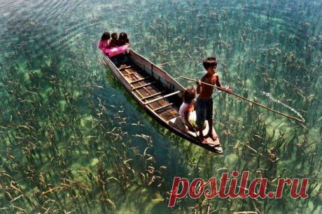 Дети катаются на лодке по кристально чистому озеру в Сабахе, Малайзия