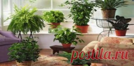 News | Золотые посты