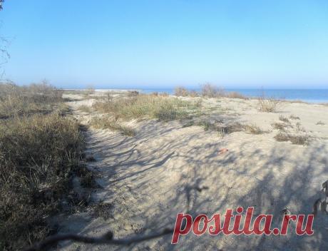 Ноябрь, у моря - 30 Ноября 2017 - Персональный сайт