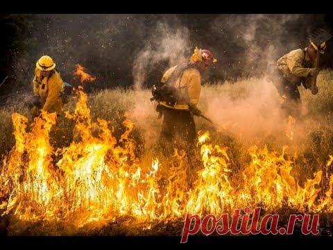 19 августа 2017 предсказания конца света, что произойдет