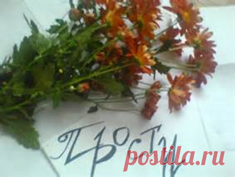 прощенное воскресенье - Bing images