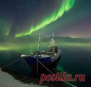Фотографии — Страница 4 — National Geographic Россия