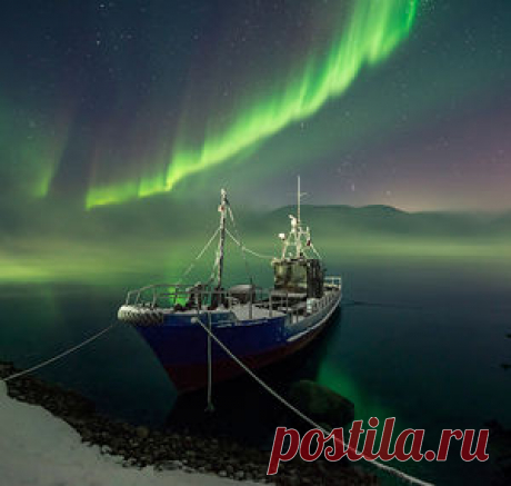Фотографии — Страница 4 — National Geographic Россия
