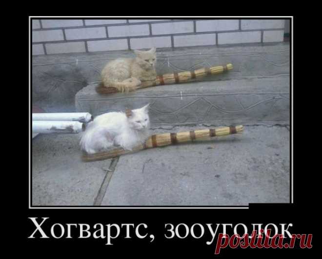Прогресс... Умные очки, умные часы, умные кроссовки, умные микроволновки... Одни люди тупые остались (Демотиваторы, свежачок)