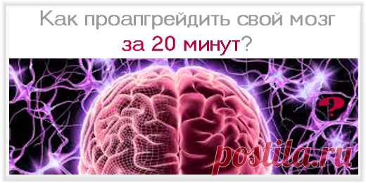 Как проапгрейдить свой мозг за 20 минут | Insitory.ru