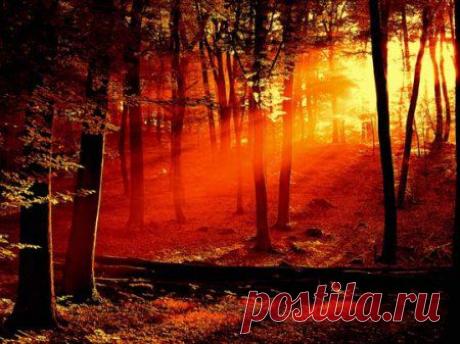 Красота спасает мир.