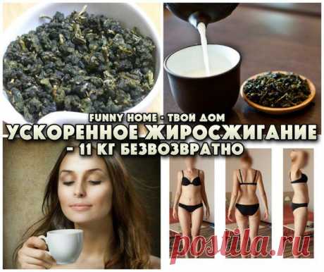 Funny Home • Твой дом
