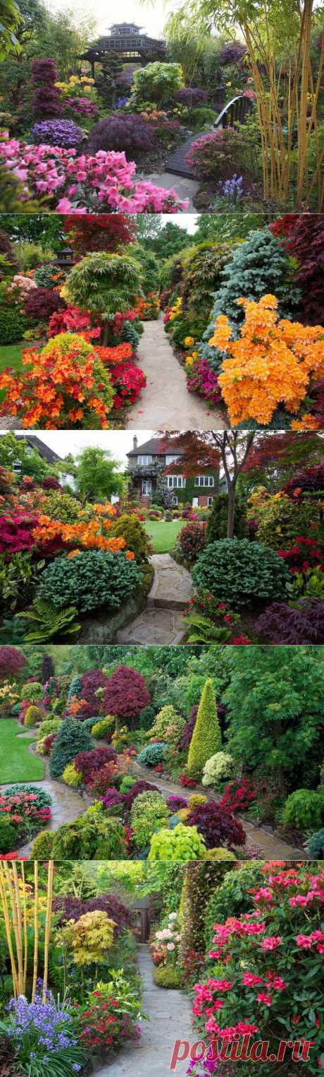 Весна в Four Seasons Garden.