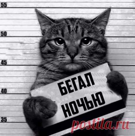 Владимир Викторович Репринцев - Луганск, Луганская обл., Украина, 57 лет на Мой Мир@Mail.ru