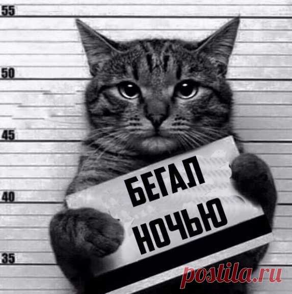 Владимир Викторович Репринцев - Луганск, Луганская обл., Украина, 57 лет на Мой Мир@Mail.ru