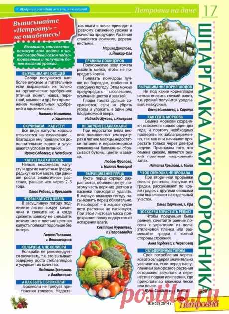 Шпаргалка огородника