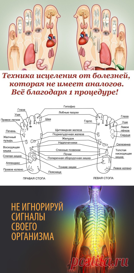 (53) Одноклассники