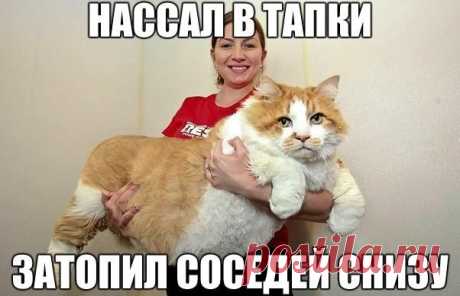 Сохранённые фотографии | 133 фотографии