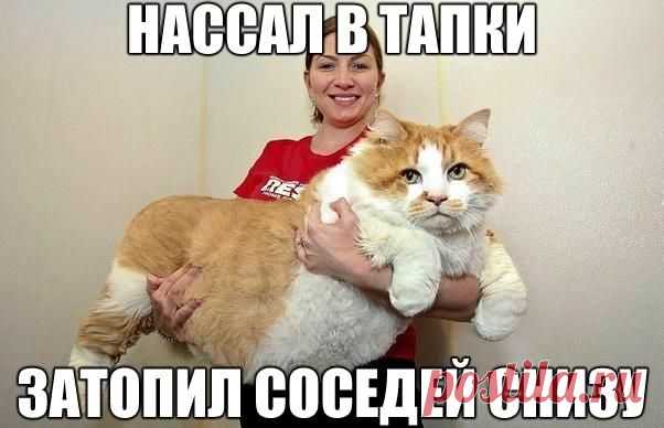 Сохранённые фотографии | 133 фотографии