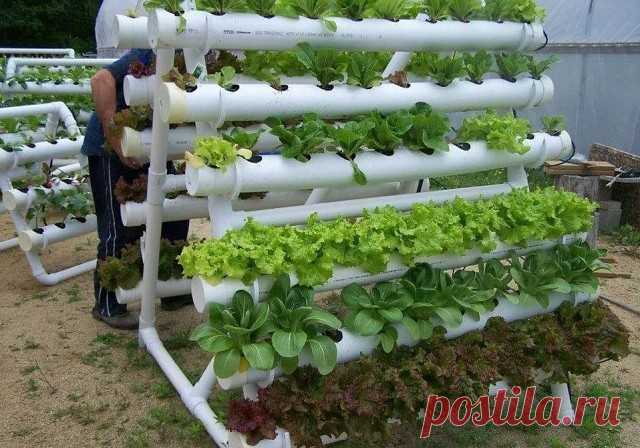 (99) Одноклассники