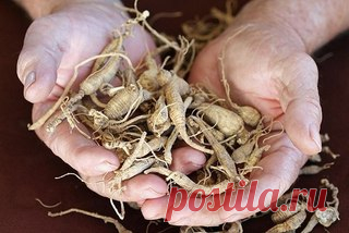 КОМНАТНЫЕ и САДОВЫЕ ЦВЕТЫ, РАСТЕНИЯ. | ВКонтакте