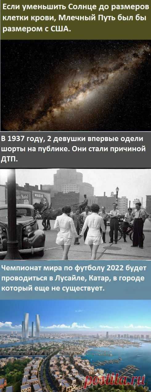 Немного интересных фактов. | Страна Полезных Советов