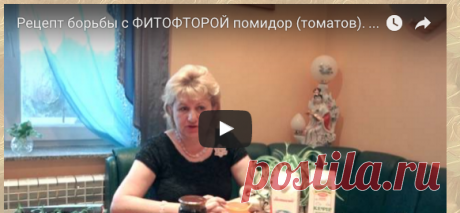 Рецепт борьбы с ФИТОФТОРОЙ помидор (томатов). &quot;Дедовский&quot; натуральный рецепт