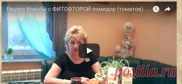 Рецепт борьбы с ФИТОФТОРОЙ помидор (томатов). "Дедовский" натуральный рецепт