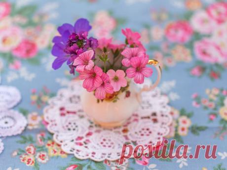 Мой Мир@Mail.Ru