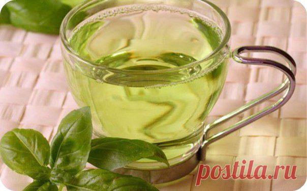 Худеем с помощью чая от аппетита.