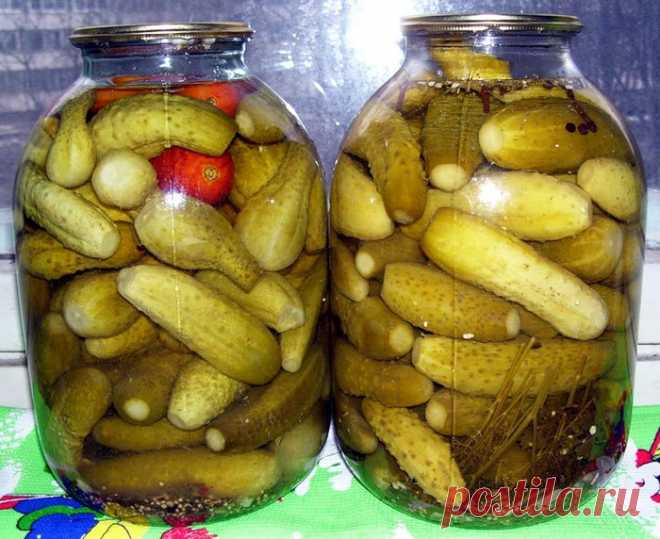 Вкусный рецепт соленых огурчиков
Я получила его, когда училась у деревенской бабушки- травницы, в глухой деревушке на Алтае. До того момента считала, что все огурцы ужасны в солении — мягкие, водянистые, невкусные. До сих пор, пробуя огурцы у всех, кто не знает этого рецепта, ни разу не ела вкусных!!! Я- вегетарианка и для меня очень важны свежие овощи зимой, […]
Читай дальше на сайте. Жми подробнее ➡