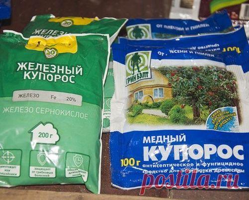 Какой купорос лучше: медный или железный?