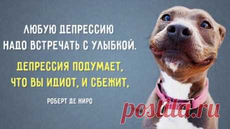 С Днем борьбы с депрессией!
Желаю позитива,
Справиться с агрессией
Веселеньким мотивом.