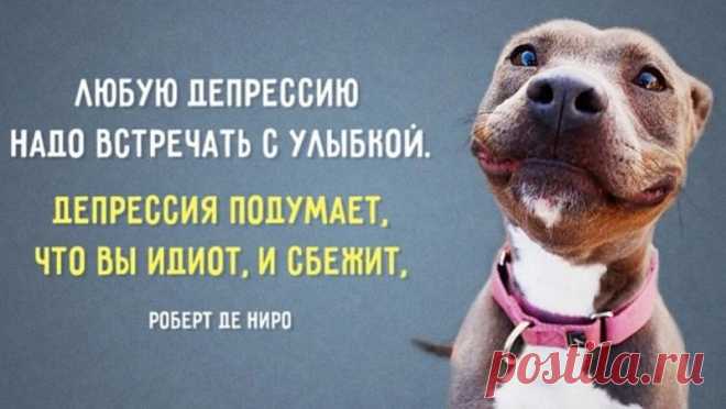С Днем борьбы с депрессией!
Желаю позитива,
Справиться с агрессией
Веселеньким мотивом.