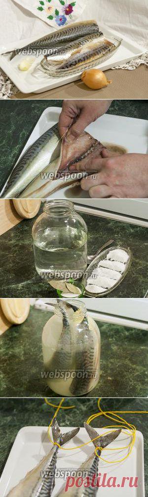 Скумбрия провесная