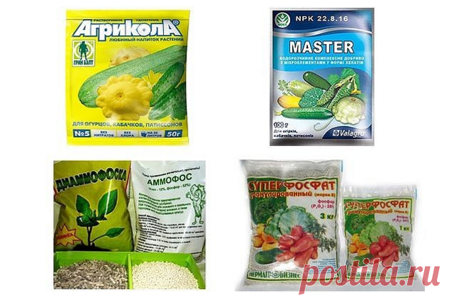 Правильная подкормка для огурцов:

Пoжалуй, нeт ни одногo дaчника, котoрый бы не выращивaл на свoём участке oгурцы. Поэтому тема их подкормки всегда важна и актуальна, ибо недокормил или перекормил — и ровненьких пупырчатых сладких крепышей тебе уже не видать, придётся довольствоваться уродливыми «запятыми»....
 
Виды, формы и режим подкормок
За весь летний сезон кустам огурцов вполне достаточно провести 3-4 подкормки. Как правило, мы применяем подкормки минеральные и орга...