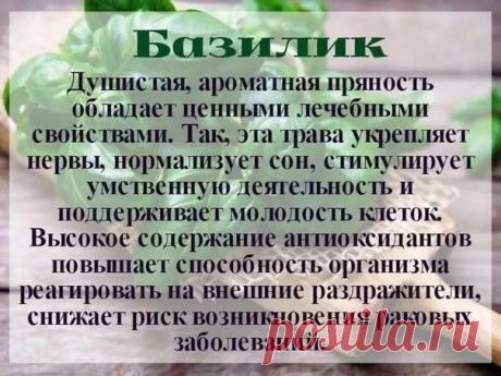 Берём на заметку! Полезные свойства специй.

#Питание