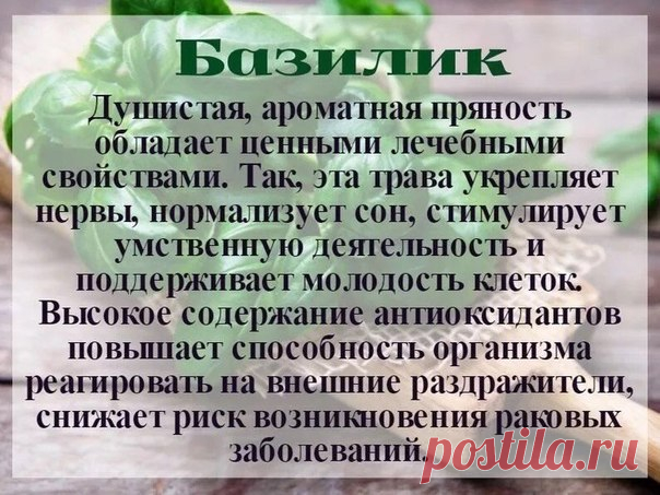 Берём на заметку! Полезные свойства специй.

#Питание