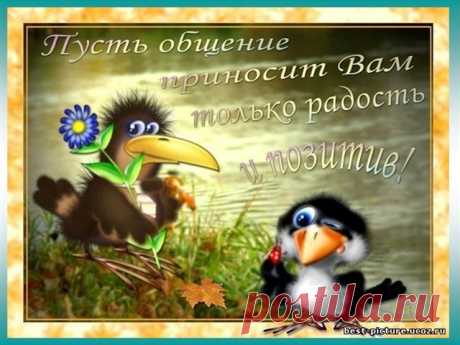 События / в Кругу Друзей - социальная сеть