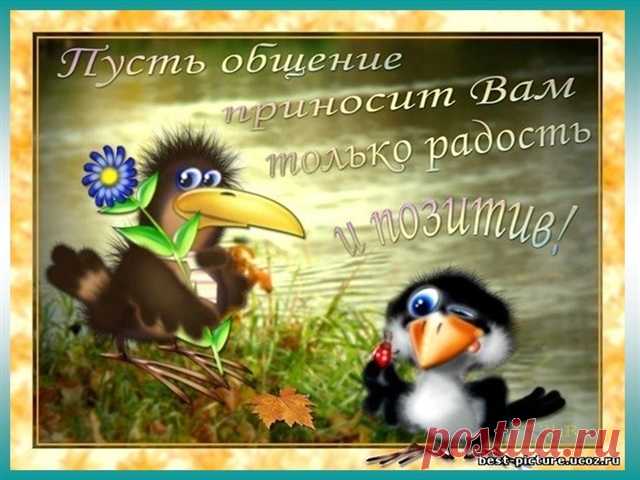 События / в Кругу Друзей - социальная сеть