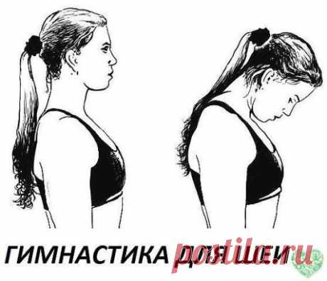 Гимнастика для шеи.
1) 30 раз доставать языком подбородка. Это упражнение подтягивает шейную мышцу и избавляет от храпа.
2) выдвигать нижнюю челюсть далеко вперед. Это упражнение также для подтягивания мышцы и избавления от храпа.
3) ребрами обеих рук (со сотороны указательного пальца) поочередно слегка ударять по подбородочной мышце.
4) ладонью правой руки обнять левый кулак и надавливать под подбородком секунд 20. Делать раз 20-30. Кулак как-бы уминает мышцу.
4) упражнения вверх-вниз, влево-вп