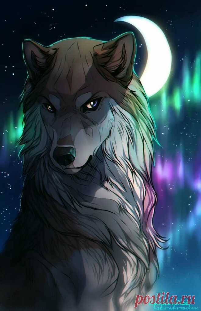 Tazihound - DeviantArt Wolf Wolf artwork, Wolf pictures και Anime wolf в Яндекс.Коллекциях