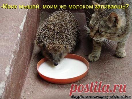 Новости