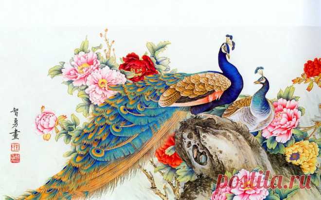 (22) Одноклассники