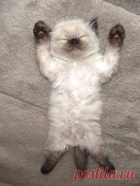 =)