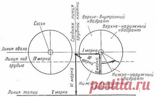 ВЫКРОЙКИ БЮСТГАЛЬТЕРОВ.