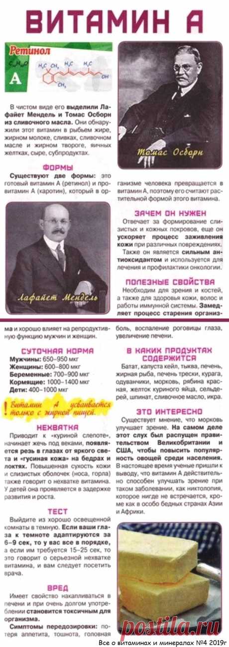 Витамин А в организме человека