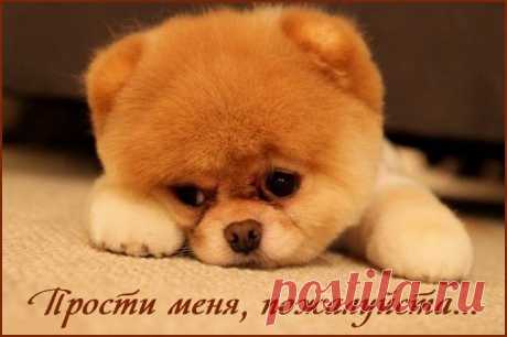 прости меня
