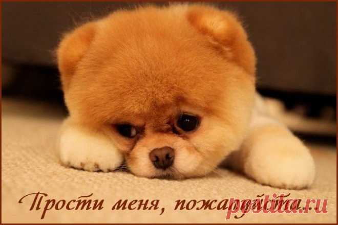 прости меня