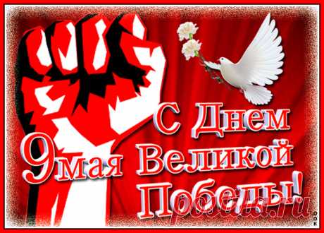 Картинка Пусть будет чистым небо, пускай цветут сады