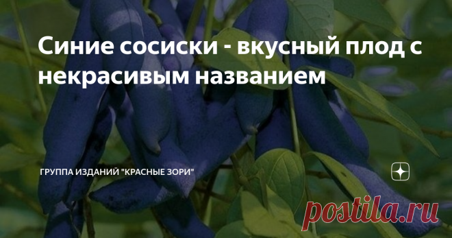 Синие сосиски - вкусный плод с некрасивым названием И неэстетичными 