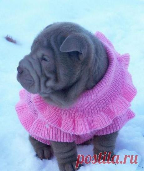 А я иду такая  вся в Дольче-Габана))