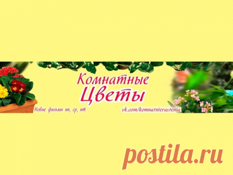Работаем с растениями по лунному календарю. Вы согласны?