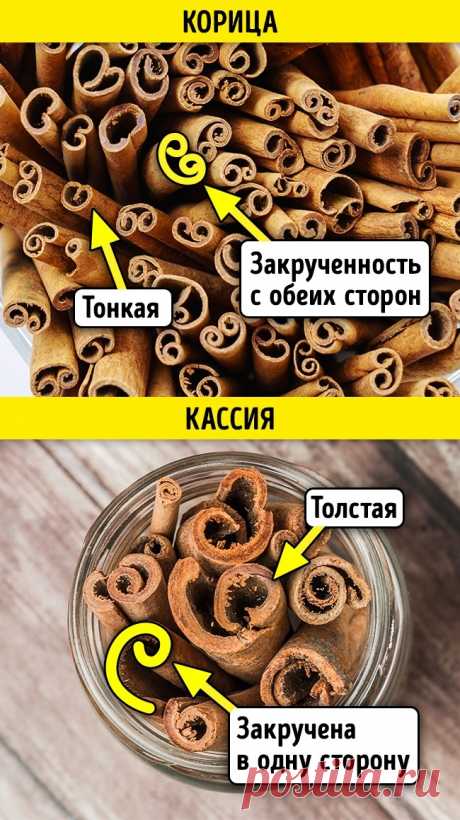 КАК ОТЛИЧИТЬ НАТУРАЛЬНЫЕ СПЕЦИИ И ПРЯНОСТИ ОТ ПОДДЕЛКИ Мир специй и пряностей потрясающе ярок и разнообразен. Но, к сожалению, часто мы покупаем выдохшийся, некачественный товар. Либо вообще дешевую имитацию. От этого никто не застрахован даже в странах, …